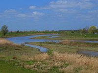 NL, Gelderland, Zaltbommel, Breemwaard 25, Saxifraga-Hans Boll