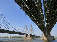 NL, Gelderland, Zaltbommel, Martinus Nijhofbrug 3, Saxifraga-Tom Heijnen