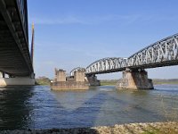 NL, Gelderland, Zaltbommel, Martinus Nijhofbrug 4, Saxifraga-Tom Heijnen