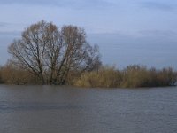 NL, Gelderland, Zaltbommel, Munniklenland 10,  Saxifraga-Jan van der Straaten