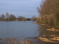 NL, Gelderland, Zaltbommel, Munniklenland 12,  Saxifraga-Jan van der Straaten