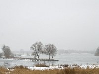 Winterlandschap Afgedamde Maas  Winter landscape along the river Meuse near Poederoijen, Gelderland, Netherlands : color, colour, countryside, Europe European, Gelderland, ice icy, reed, rural, Holland, Netherlands, river, riverscape, rural landscape, snow snowy, stream, vertical, water, winter