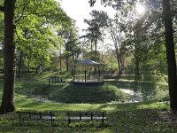 NL, Gelderland, Zaltbommel, Singelwal 1, Saxifraga-Tom Heijnen