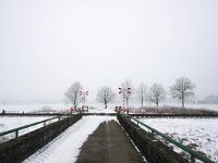 NL, Gelderland, Zutphen, Berkel 2, Saxifraga-Bart Vastenhouw