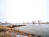 NL, Gelderland, Zutphen, IJssel 11, Saxifraga-Bart Vastenhouw