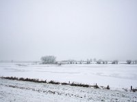 NL, Gelderland, Zutphen, IJssel 5, Saxifraga-Bart Vastenhouw