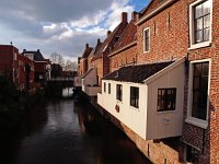 NL, Groningen, Eemsdelta, Appingedam 3, Saxifraga-Hans Dekker