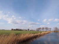 NL, Groningen, Eemsdelta, Holwierde 1, Saxifraga-Hans Dekker