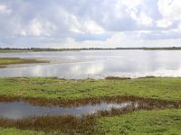 NL, Groningen, Het Hogeland, Achter de Zwarte 2, Saxifraga-Hans Boll