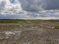 NL, Groningen, Het Hogeland, De Rug 18, Saxifraga-Hans Boll