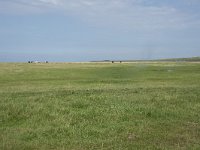 NL, Groningen, Het Hogeland, Noordpolderzijl 11, Saxifraga-Willem van Kruijsbergen