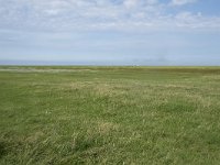 NL, Groningen, Het Hogeland, Noordpolderzijl 13, Saxifraga-Willem van Kruijsbergen