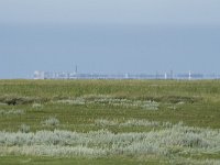 NL, Groningen, Het Hogeland, Noordpolderzijl 14, Saxifraga-Willem van Kruijsbergen