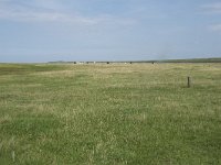 NL, Groningen, Het Hogeland, Noordpolderzijl 15, Saxifraga-Willem van Kruijsbergen