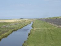 NL, Groningen, Het Hogeland, Noordpolderzijl 27, Saxifraga-Willem van Kruijsbergen