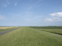 NL, Groningen, Het Hogeland, Noordpolderzijl 28, Saxifraga-Willem van Kruijsbergen