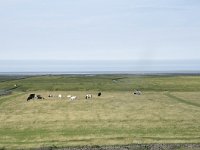 NL, Groningen, Het Hogeland, Noordpolderzijl 31, Saxifraga-Willem van Kruijsbergen