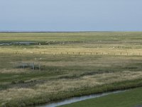 NL, Groningen, Het Hogeland, Noordpolderzijl 33, Saxifraga-Willem van Kruijsbergen