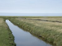 NL, Groningen, Het Hogeland, Noordpolderzijl 36, Saxifraga-Willem van Kruijsbergen