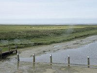 NL, Groningen, Het Hogeland, Noordpolderzijl 4, Saxifraga-Willem van Kruijsbergen