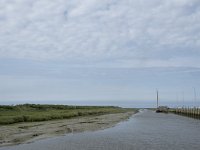 NL, Groningen, Het Hogeland, Noordpolderzijl 8, Saxifraga-Willem van Kruijsbergen