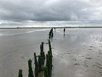 NL, Groningen, Het Hogeland, Pieterburen 37, Saxifraga-Willem van Kruijsbergen