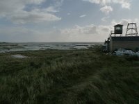 NL, Groningen, Het Hogeland, Rottumeroog 10, Saxifraga-Mark Zekhuis