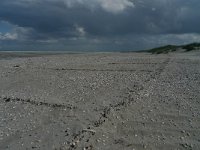 NL, Groningen, Het Hogeland, Rottumeroog 15, Saxifraga-Mark Zekhuis