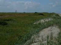 NL, Groningen, Het Hogeland, Rottumeroog 21, Saxifraga-Mark Zekhuis