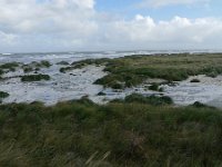 NL, Groningen, Het Hogeland, Rottumeroog 9, Saxifraga-Mark Zekhuis