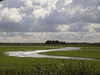 NL, Groningen, Het Hogeland, Schildhoek 4, Saxifraga-Hans Boll