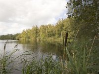 NL, Groningen, Midden-Groningen, Westerbroek 16, Saxifraga-Jaap Schelvis : Westerbroek