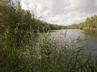 NL, Groningen, Midden-Groningen, Westerbroek 18, Saxifraga-Jaap Schelvis : Westerbroek