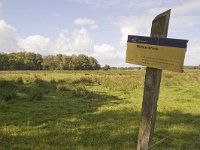 NL, Groningen, Midden-Groningen, Westerbroek 28, Saxifraga-Jaap Schelvis : Westerbroek