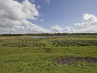 NL, Groningen, Midden-Groningen, Westerbroek 31, Saxifraga-Jaap Schelvis : Westerbroek