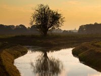 Fork in a lowland river  Fork in a lowland river in rural landscape : Fork, Netherlands, Vork, aftakken, aftakking, agrarische, agricultural, agriculture, aparte, beek, beekdal, boom, bossen, branch, church, country, countryside, creative nature, creek, dageraad, dawn, delen, divide, dusk, field, flowing, geel, gras, grass, green, groen, groningen, holland, kerk, kreek, laagland, land, landbouw, landelijk, landscape, landschap, lowland, lucht, mirror, nature, natuur, nederland, orange, oranje, platteland, reflectie, reflection, river, rivier, rudmer zwerver, ruiten aa, rural, schemering, seperate, serene, sky, spiegel, split, splitsen, splitsing, stream, stroom, summer, sunrise, sunset, tak, toren, tower, tree, veld, vertakking, vloeiend, water, woods, yellow, zomer, zonsondergang, zonsopgang