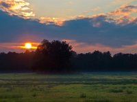 Sunset over forest edge  Sunset over forest edge in dutch national park : Netherlands, atmosphere, blue, bomen, boom, bos, bosrand, cloud, clouds, cloudscape, creative nature, dawn, dusk, dutch, forest, forest edge, grass, green, groningen, holland, landscape, landschap, national park, natuur, nederland, orange, rudmer zwerver, sky, stadskanaal, summer, sunrise, sunset, tree, trees, westerwolde, zomer