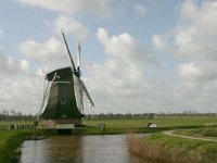 NL, Groningen, Westerkwartier, Grootegasterpolder 1, Saxifraga-Hans Boll