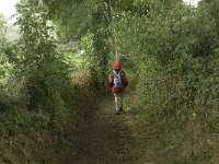 NL, Limburg, Eijsden-Margraten, Noorbeek 1, Saxifraga-Jan van der Straaten