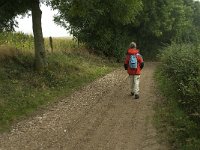 NL, Limburg, Eijsden-Margraten, Noorbeek 4, Saxifraga-Jan van der Straaten