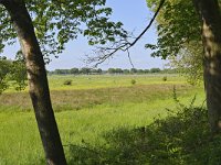 NL, Limburg, Gennep, Teelebeek 1, Saxifraga-Tom Heijnen