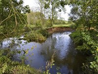 NL, Limburg, Gulpen-Wittem, Geul SE of Plaat 1, Saxifraga-Tom Heijnen