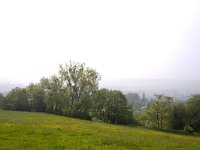 NL, Limburg, Gulpen-Wittem, Geuldal 1, Saxifraga-Bart Vastenhouw