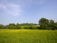 NL, Limburg, Gulpen-Wittem, Geuldal 3, Saxifraga-Bart Vastenhouw