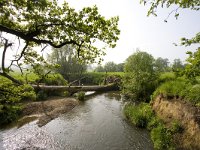 NL, Limburg, Gulpen-Wittem, Geuldal 6, Saxifraga-Bart Vastenhouw