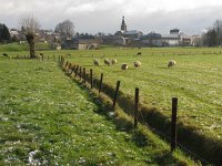 NL, Limburg, Gulpen-Wittem, Wijlre 1, Saxifraga-Harry van Oosterhout