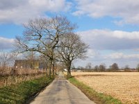 NL, Limburg, Gulpen-Wittem, near Heijenrath 1, Saxifraga-Tom Heijnen