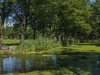 NL, Limburg, Horst aan de Maas, Griendtsveen Kanaal 2, Saxifraga-Marijke Verhagen