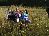 NL, Limburg, Nederweert, Weerterbosch 2, Saxifraga-Jan van der Straaten