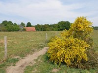 NL, Limburg, Roermond, Swalm valley near De Hout 1, Saxifraga-Tom Heijnen